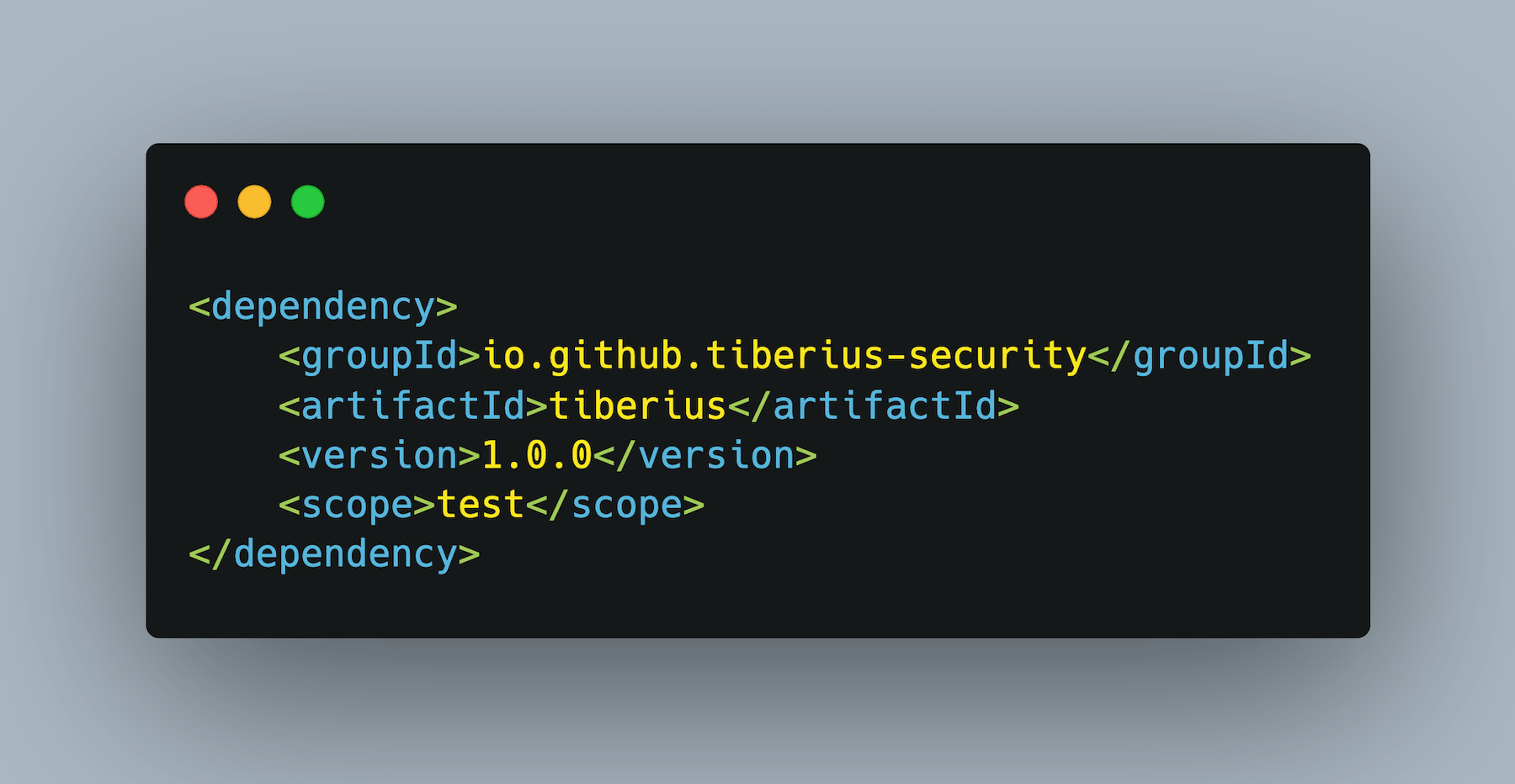 Screenshot of how to integrate Tiberius into a software project.